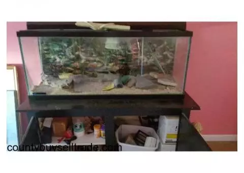 55 gal fish tank and stand